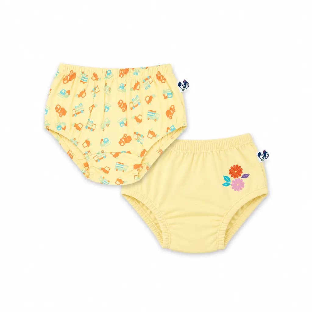 Pure Cotton Panty – Pack of 2