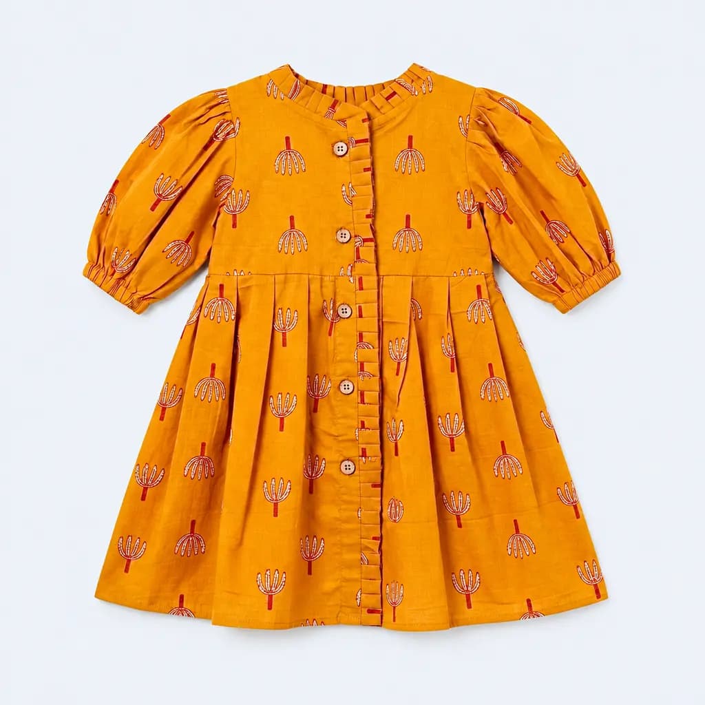 Pure Cotton Front Button Frill Frock thumbnail 2