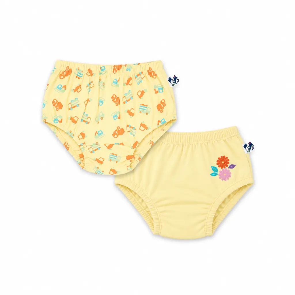 Pure Cotton Panty – Pack of 2 - Image 1
